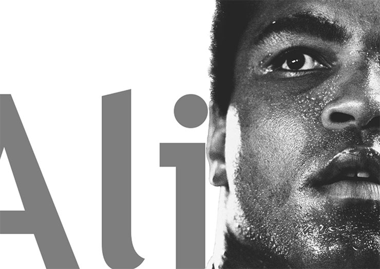 illustrazioni digitali muhammad ali